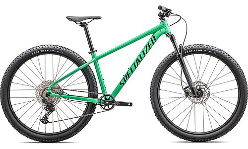 ROCKHOPPER EXPERT 29