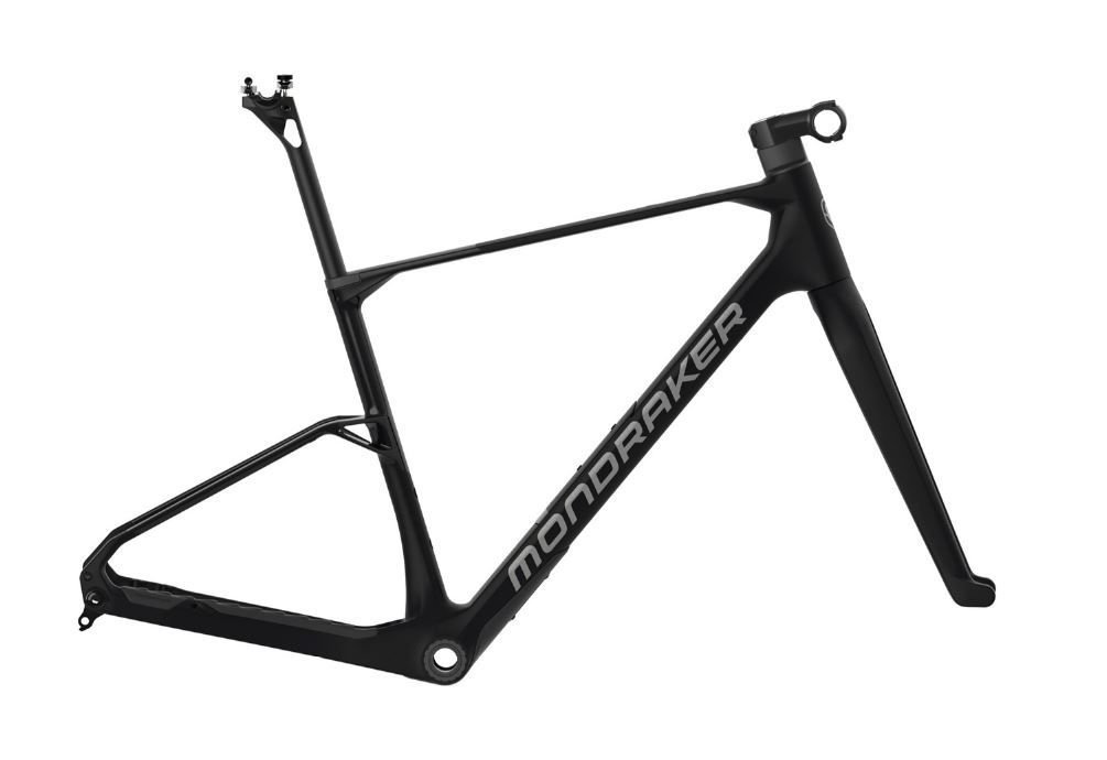 ARID CARBON Frame