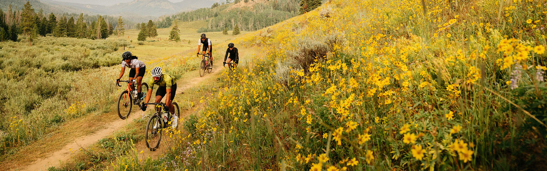 Gravel Bike Fahrer in blühender Wiese