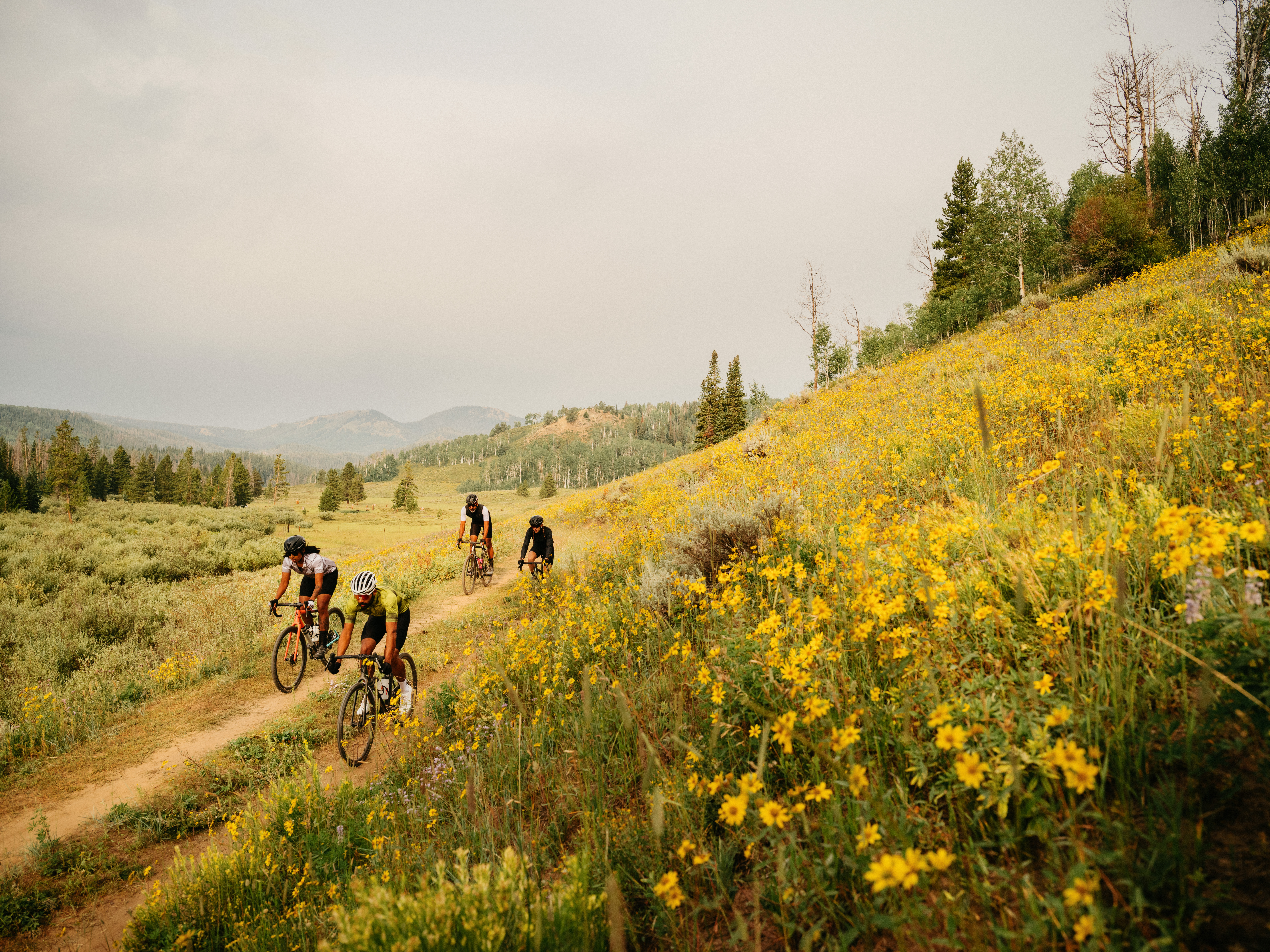 Gravel Bike Fahrer in blühender Wiese
