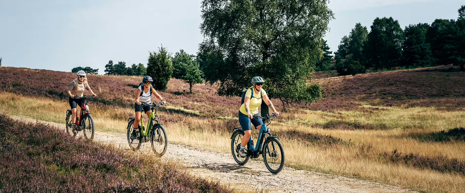 Victoria_Parcours_E-Bike-Gruppenfahrt_wide