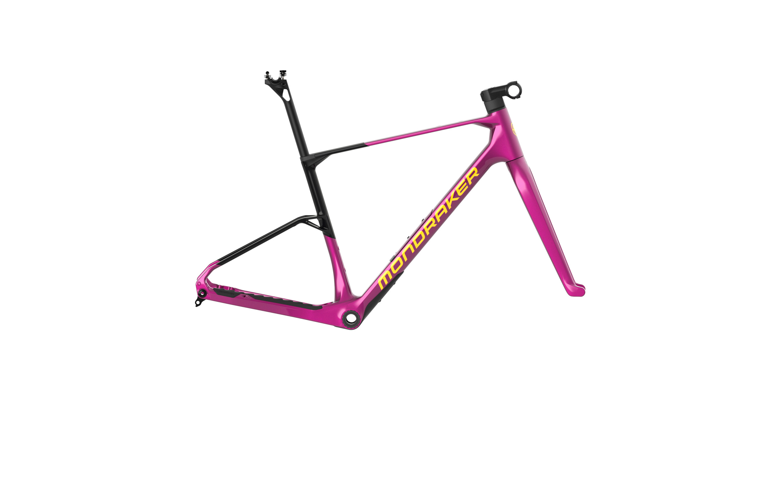 ARID CARBON Frame
