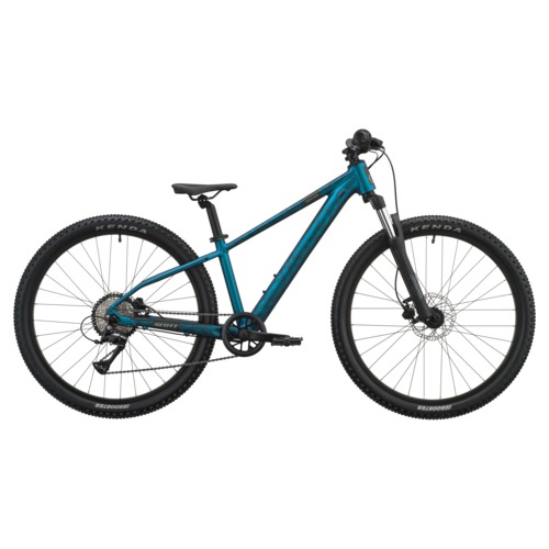 Bike Roxter 600